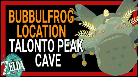 totk tloz TheLegendOfZelda Zelda TearsOfTheKingdom Link panyapinHudson is a character in Breath of the Wild and Tears of the Kingdom. . Construction site cave bubble frog
